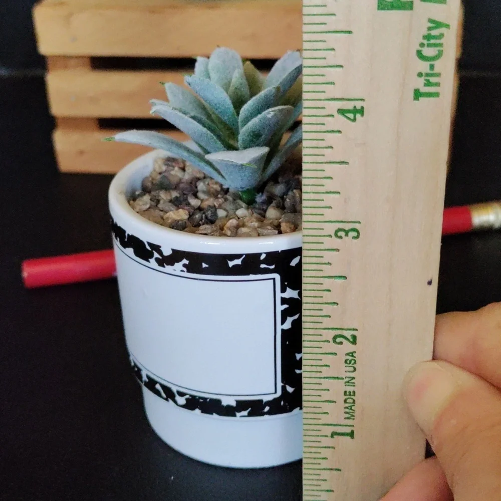 Planter for teacher with faux succulent - Picture 8 of 10